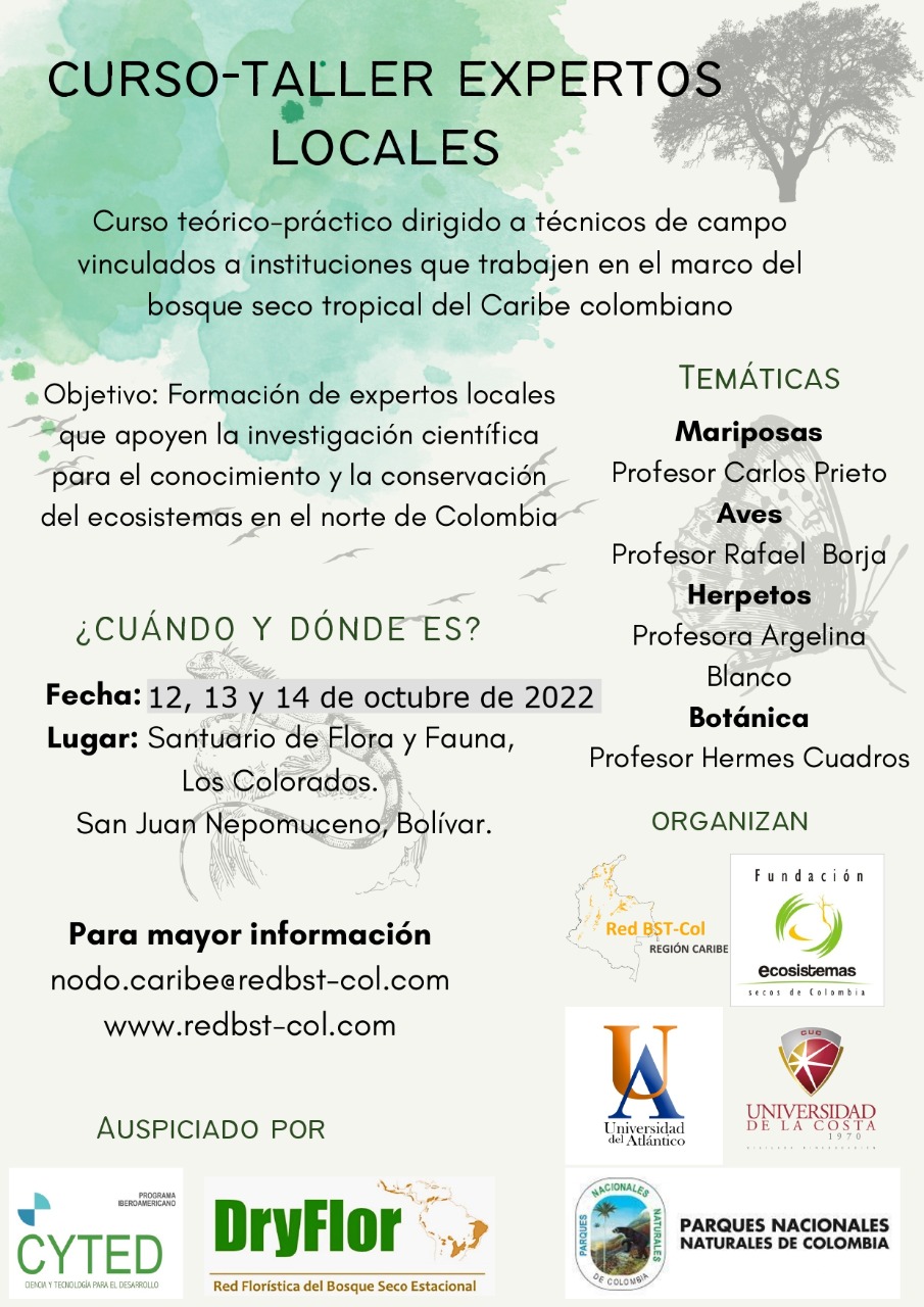 post taller expertos locales