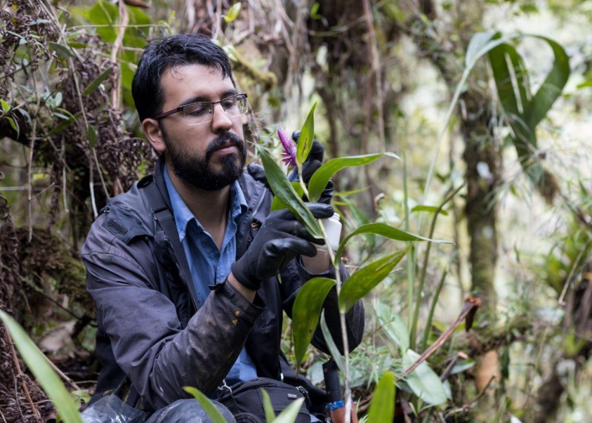 David Esteban Hernández