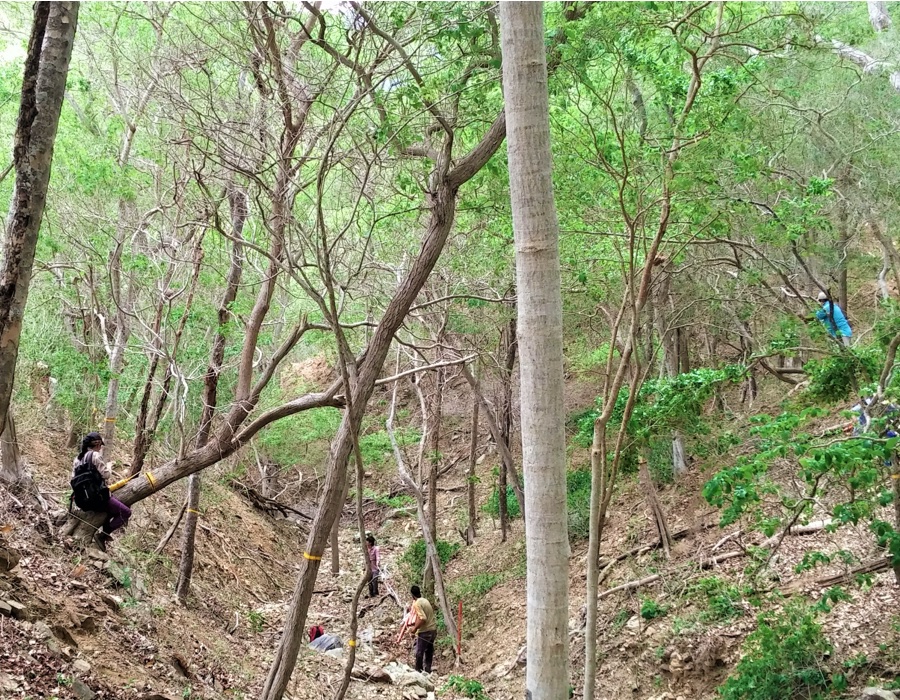 La Red de Monitoreo del Bosque Seco Nodo Caribe