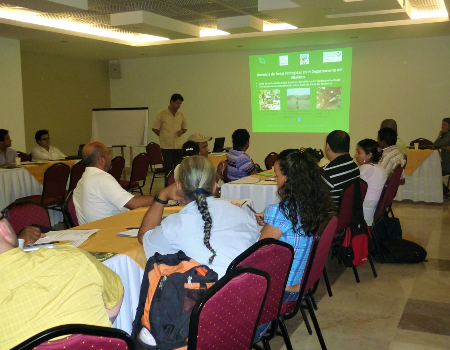 proyecto promocion social